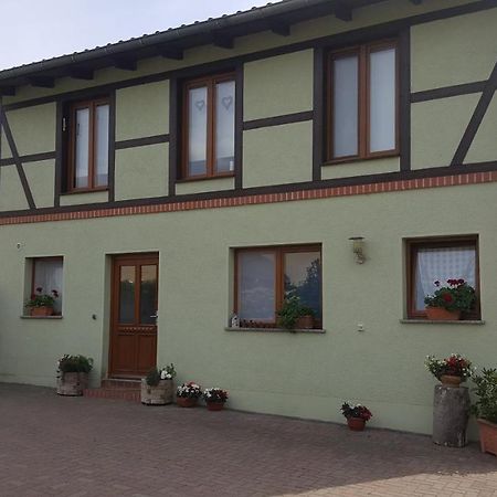 Ferienhaus Am Stadtpark Ballenstedt Kültér fotó